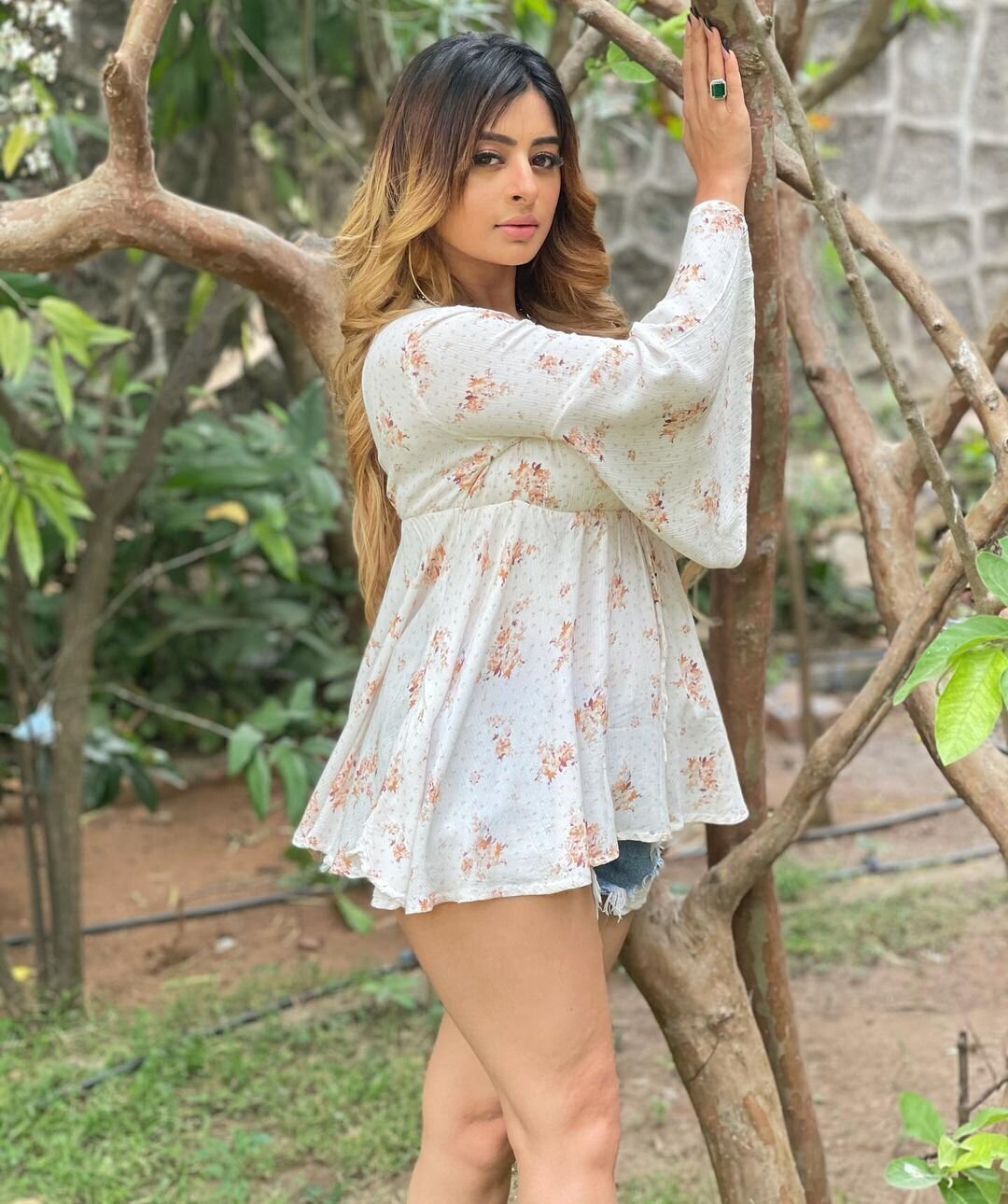 Ankita Dave