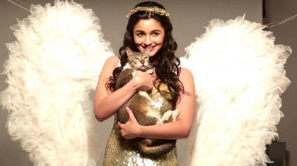 Alia Bhatt photo 238306