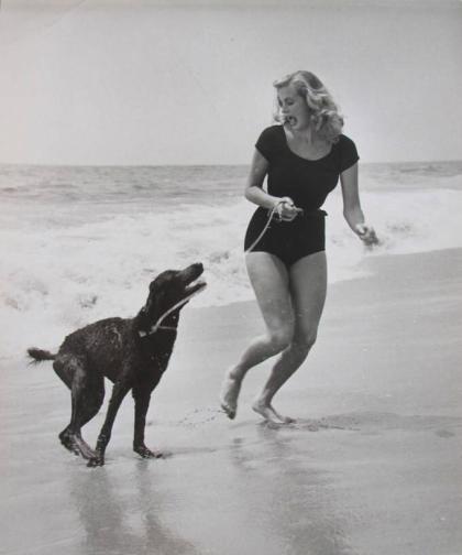 Anita Ekberg photo 146507