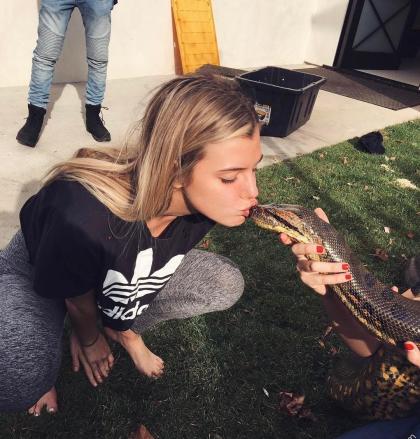 Alissa Violet photo 278358