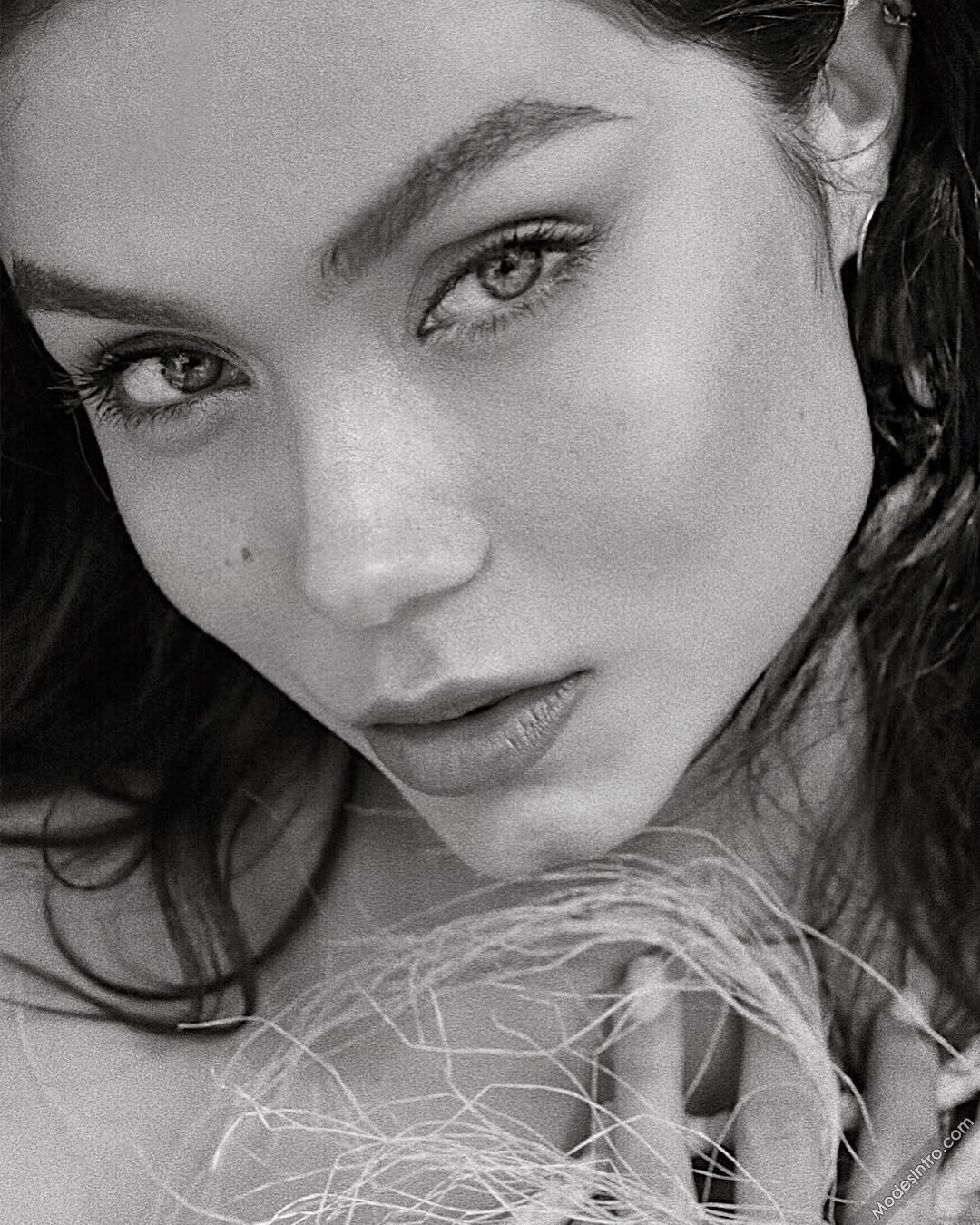 Thais Belmonte