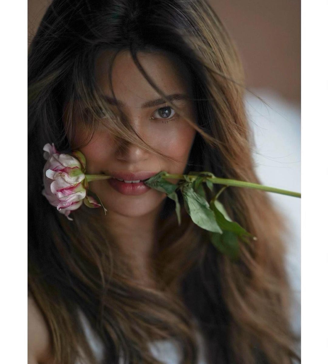 Denise Laurel