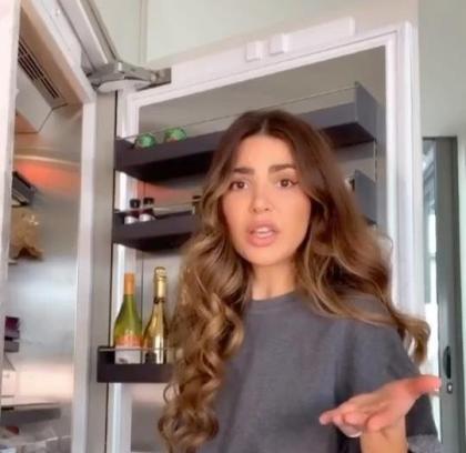 Negin Mirsalehi photo 300816