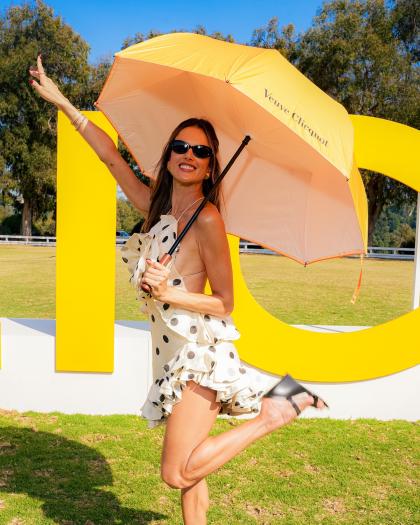 Alessandra Ambrosio photo 24723