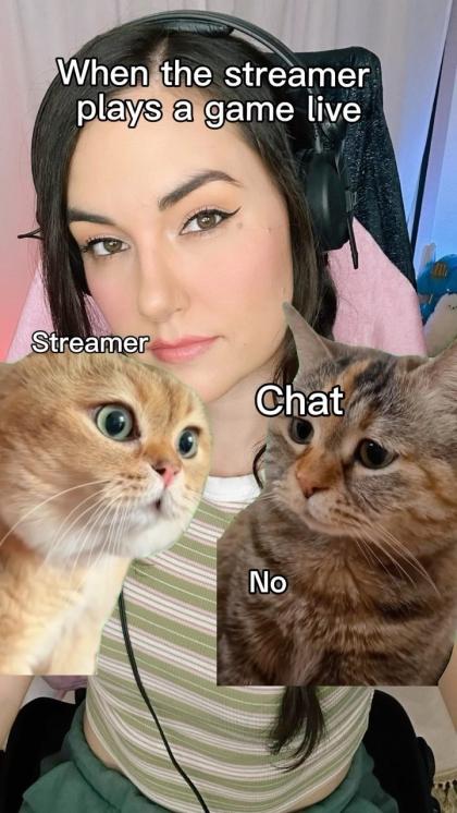 Sasha Grey photo 57338
