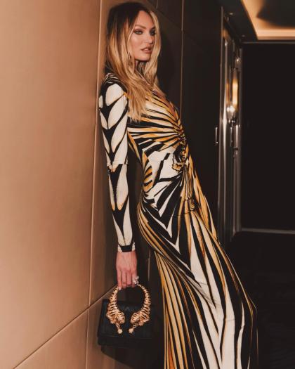 Candice Swanepoel photo 27060