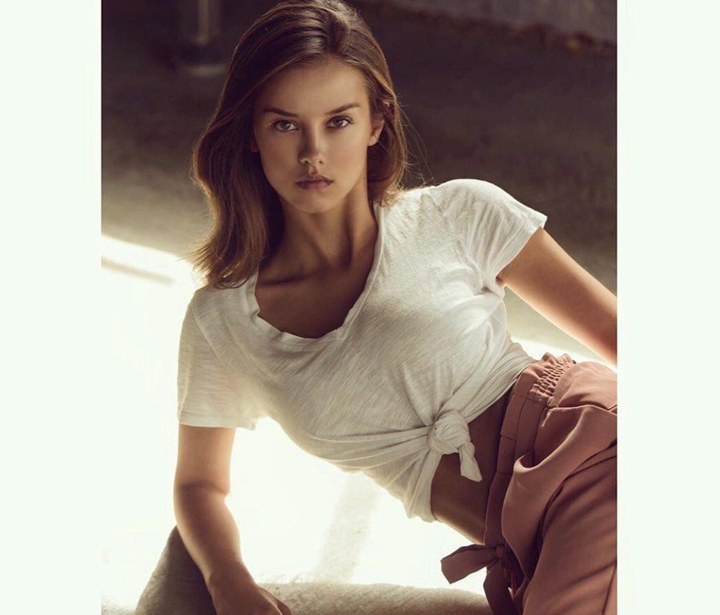Nicola Cavanis