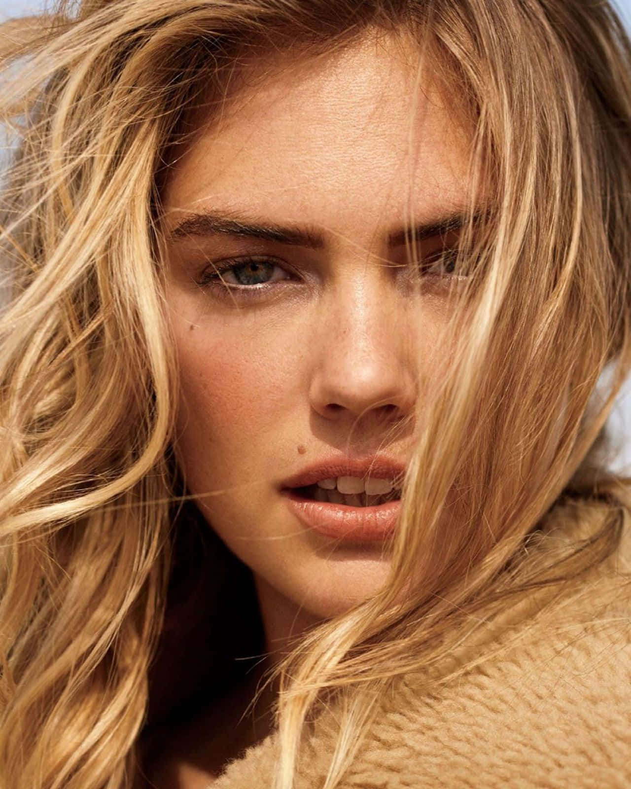 Kate Upton